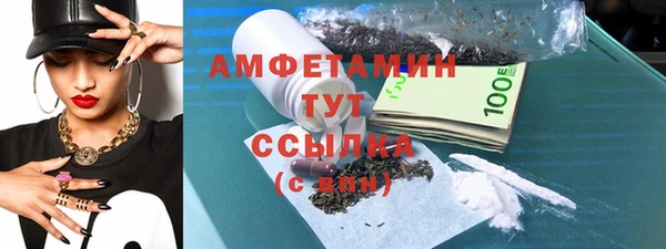 гашик Гусев
