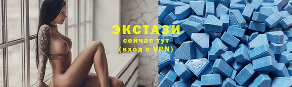 гашик Гусев