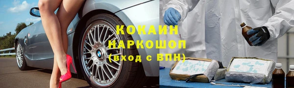 гашик Гусев