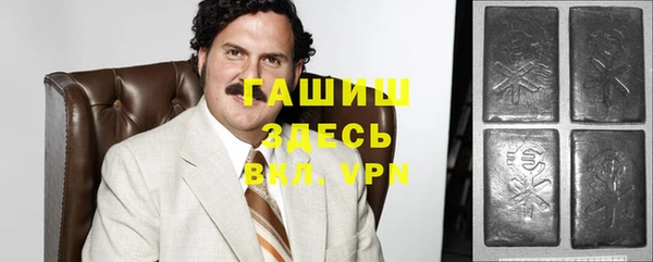 гашик Гусев