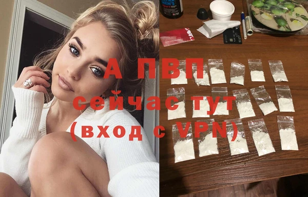 спиды Гусь-Хрустальный