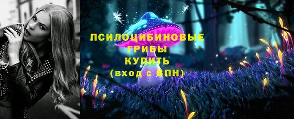 альфа пвп Гусиноозёрск