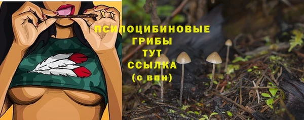 альфа пвп Гусиноозёрск