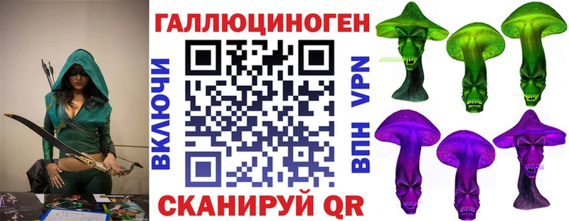 Псилоцибиновые грибы Psilocybine cubensis  Жиздра 